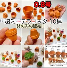 〇平日＊日中注文即日発送-超ミニテラコッタ鉢-0.8号(外径φ2.4×高さ2cm)×10鉢セット＊ミニ鉢に特化した品揃え！※エアプランツや多肉植物は付属しません＠フラワーショップ江口