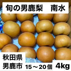 男鹿梨「南水」4kg 【家庭用】大小ばら詰め　大将梨園　秋田県男鹿市産