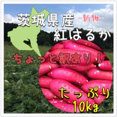 茨城県産 紅はるか 訳あり 10kg 甘〜いさつまいも！焼き芋、干し芋、腸活ダイエットにも！