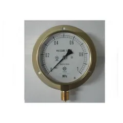 【新品・7営業日以内発送】BS1/2-100:2MPA 第一計器製作所 IPT一般圧力計 BS1/2100:2MPA【沖縄離島販売不可】