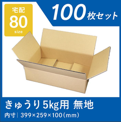 きゅうり ダンボール 5kg用 強化芯 100枚 ズッキーニ ゴーヤ 宅配80サイズ 胡瓜 ケース 段ボール ダンボール箱 通販 ワン サイズ