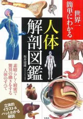 2025年最新】人体解剖図鑑の人気アイテム - メルカリ