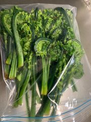 極太こごみとかち産1kg