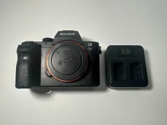 2025年最新】α7S II ILCE-7SM2の人気アイテム - メルカリ
