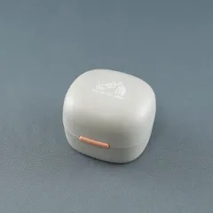 Victor ワイヤレスイヤホン ベージュ 充電ケース＆ケーブル付き Victor ワイヤレスイヤホン ベージュ 充電ケース＆ケーブル付き