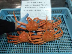 毛ガニ 北海道の人気アイテム - メルカリ