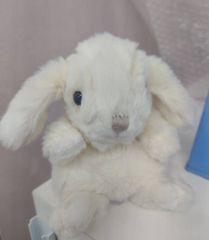 未使用】bonpoint ボンポワン ホワイト うさぎぬいぐるみ Sサイズ