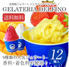 自家製ジェラート１２個入　お中元　夏ギフト