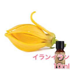 イランイラン 10ml×1本 エッセンシャルオイル アロマオイル 無希釈 天然 無添加 アロマストーン アロマディフューザー 芳香 ルームフレグランス 香水