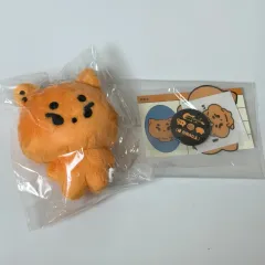 2025年最新】DAY6 ぬいぐるみの人気アイテム - メルカリ