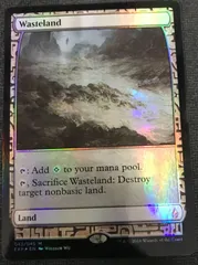 不毛の大地　foil 褒賞プロモ Amazon.co.jp: mtg 不毛の大地 英語 プロモ foil 褒賞プログラム