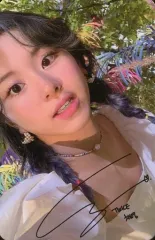 【中古】コレクションカード(女性) TWICE/チェヨン/下部印刷サイン入り/CD「MORE ＆ MORE」付属フォトカード