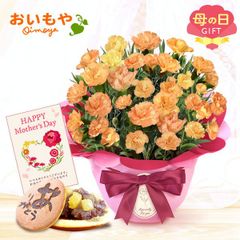 【おいもや公式】母の日限定 5号 カーネーション【オレンジドレス】 どら焼き スイーツ 和菓子 お菓子 鉢植え プレゼント 生花 花 オレンジ おしゃれ かわいい (お届け時期:5/5～11のいずれか)