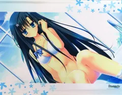 【中古】タペストリー 継花三澄 B2タペストリー 「PS4/Switchソフト PriministAr -プライミニスター-」 メロンブックス購入特典