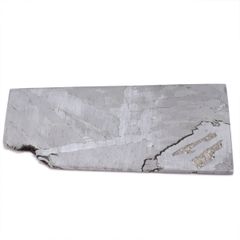 セイムチャン 隕石 25.0g パラサイト 石鉄隕石 標本 Seymchan M2502
