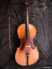 2025年最新】ハルシュタット チェロの人気アイテム - メルカリ