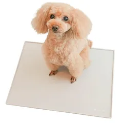 INULABO (イヌラボ) シリコントイレ 犬 トイレ トイレトレー シリコン トイレ シリコンマット 薄型 しつけ用 多頭飼い 薄いトイレ トイレトレーニング おしゃれ (レギュラー (54*40cm))モダングレー