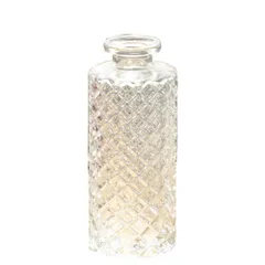 ★即日発送★LAOFENDS 小さなガラス花瓶 ダイニングテーブル用 ホームデコ用ガラスの花瓶 透明 ミニ花器 一輪挿し ガラスボトル フラワーベース ガラスベース 紐飾り付き 生け花 水栽培 造花アレンジ インテリア 北欧風 レトロ おしゃれ シンプル スタ