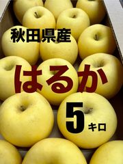 秋田県産りんご　はるか(有袋)　5キロ