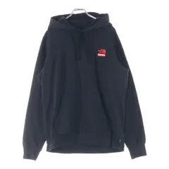 SUPREME (シュプリーム) 19AW ×THE NORTH FACE State of Liberty Hooded Sweatershirt ×ザ・ノースフェイス 自由の女神 フロントプリント プルオーバーパーカー フーディ ブラック