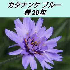 23年最新 カタナンケの人気アイテム メルカリ