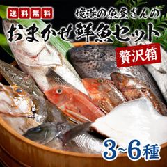 境港の魚屋さんのおまかせ鮮魚セット 贅沢箱(3～6種)