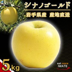 岩手県 産地直送 りんご シナノゴールド 約5kg 15玉入り リンゴ 果物