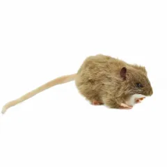 HANSA 茶色ネズミ12 L12(cm) 5577 ぬいぐるみ ハンサ クリスマス 誕生日 プレゼント 動物 犬 猫 鳥 うさぎ ペンギン アニマル 置物 人形 フィギュア KOESEN ケーセン 大きい マスコット 実物大 大型