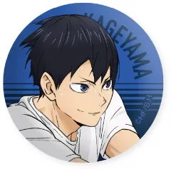 【新品】マグネット・磁石 影山飛雄 ガラスマグネット ～レシーブ～ 「ハイキュー!!」