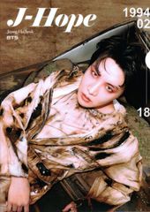 BTS J-HOPE ジェイホープ ホソク グッズ クリアファイル A4サイズ K-POP