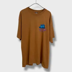☆OBEY☆オベイ☆スプレーアートTシャツ☆ブラウン☆L☆バックプリント☆H25M