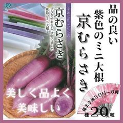 野菜の種】美しく品よく美味しい「京むらさき」種２０粒～収穫約５０日～