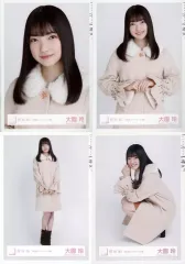 【中古】生写真(乃木坂46) ◇大園玲/櫻坂46ランダム生写真 ＜冬私服コーディネート衣装＞ 4種コンプリートセット