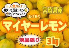 【大特価】訳ありマイヤーレモン3㎏/レモン　国産レモン　みかん　きんかん　果物