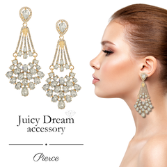 ピアス ロングピアス ビジュー ドレス フィットネス コンテスト ビキニ ステージアクセサリー パーティ