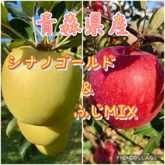 青森県産りんご‼️シナノゴールドandふじ家庭用✨MIX 4kgオーバー