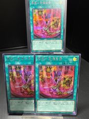 ブラック・マジシャン・ガール まとめ売り シークレット - メルカリ