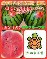 甘くてシャリ感抜群！即発送！熊本産【羅皇】Mサイズ（2玉11〜13kg箱込）熊本フルーツ堂