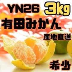 有田みかん YN26 極早生 ゆら早生 3㎏ ミカン 減農薬 産地直送 和歌山
