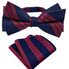 蝶ネクタイ　ポケットチーフ チーフ　2点セット　ストライプ　結婚式 パーティー イベント 卒業式 入学式 入社式 ダンスパーティー ネイビー　レッド　ワンタッチ ワイシャツ スーツ 格安 小物