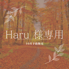 【Haru 様専用】