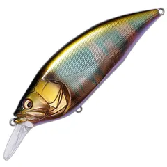 2025年最新】メガバスオイカワの人気アイテム - メルカリ