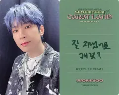 【中古】コレクションカード(男性) SEVENTEEN/WONWOO(ウォヌ)/裏面緑・印刷メッセージ入り/「2022 SVT 6TH FAN MEETING SEVENTEEN in CARAT LAND MEMORY BOOK+DVD」封入特典フォトカード