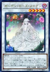 2025年最新】ガーデンローズメイデンの人気アイテム - メルカリ