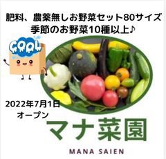 マナ菜園🥗農薬、化学肥料不使用。お野菜詰め合わせ80サイズ♪冷蔵便❄️