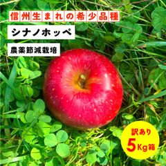 幻の林檎 「シナノホッペ5キロ箱訳あり品」減農薬 農林水産大臣賞 りんご 長野県産 安曇野 信州産 産地直送 送料無料 5キロ 箱使用 果物 フルーツ 鮮度抜群 産地直送
