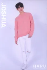 SEVENTEEN 2019 HARU JOSHUA トレーディングカード 0024