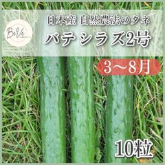 野菜の種 たね タネ バテシラズ2号 きゅうり キュウリ 胡瓜 3月 4月 5月 6月 7月 8月 家庭菜園 プランター栽培 ベランダ栽培 ガーデニング 農業 畑 自給自足 自然農法 国産