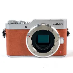 2025年最新】lumix gf9 バッテリーの人気アイテム - メルカリ