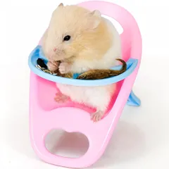 新品 ピンク/ブルー ケージ用 撮影小道具 1個 おもちゃ 食事用 餌皿付きミニチェア (ピンク) 用品 ハムスター AZ-FRONT